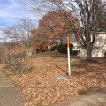 Fall Leaf Cleanup: Protecting Your Garden And Patio Décor In Northern Virginia