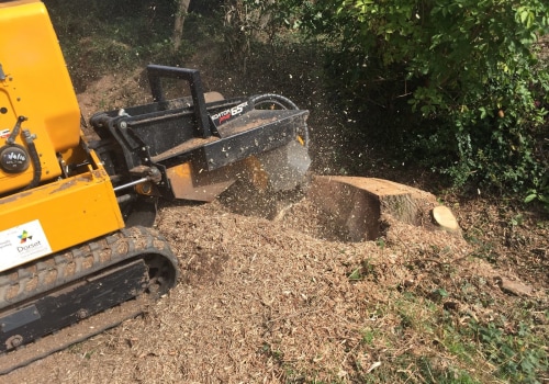 Tree and Stump Removal in Oregon: Creating Safer, Cleaner Outdoor Spaces While Enhancing Garden and Patio Décor